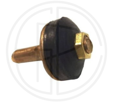 V谩lvula 1/2 Piazza